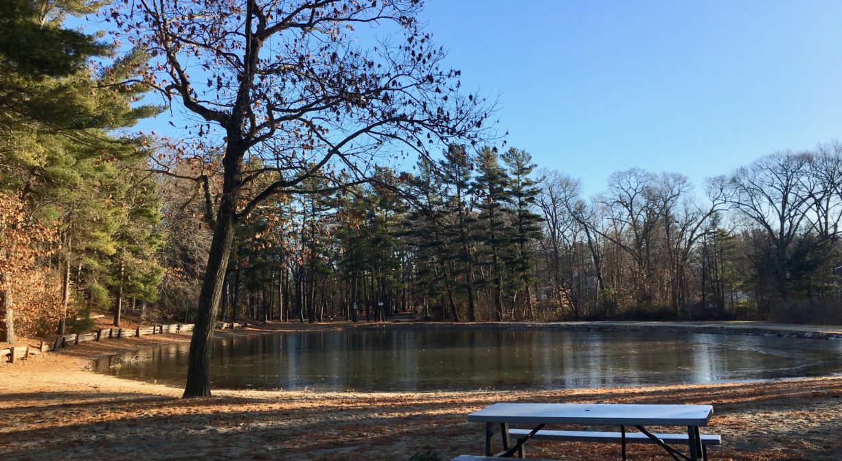A photograph of a picnic table beside a small pond, with trees in the background.
