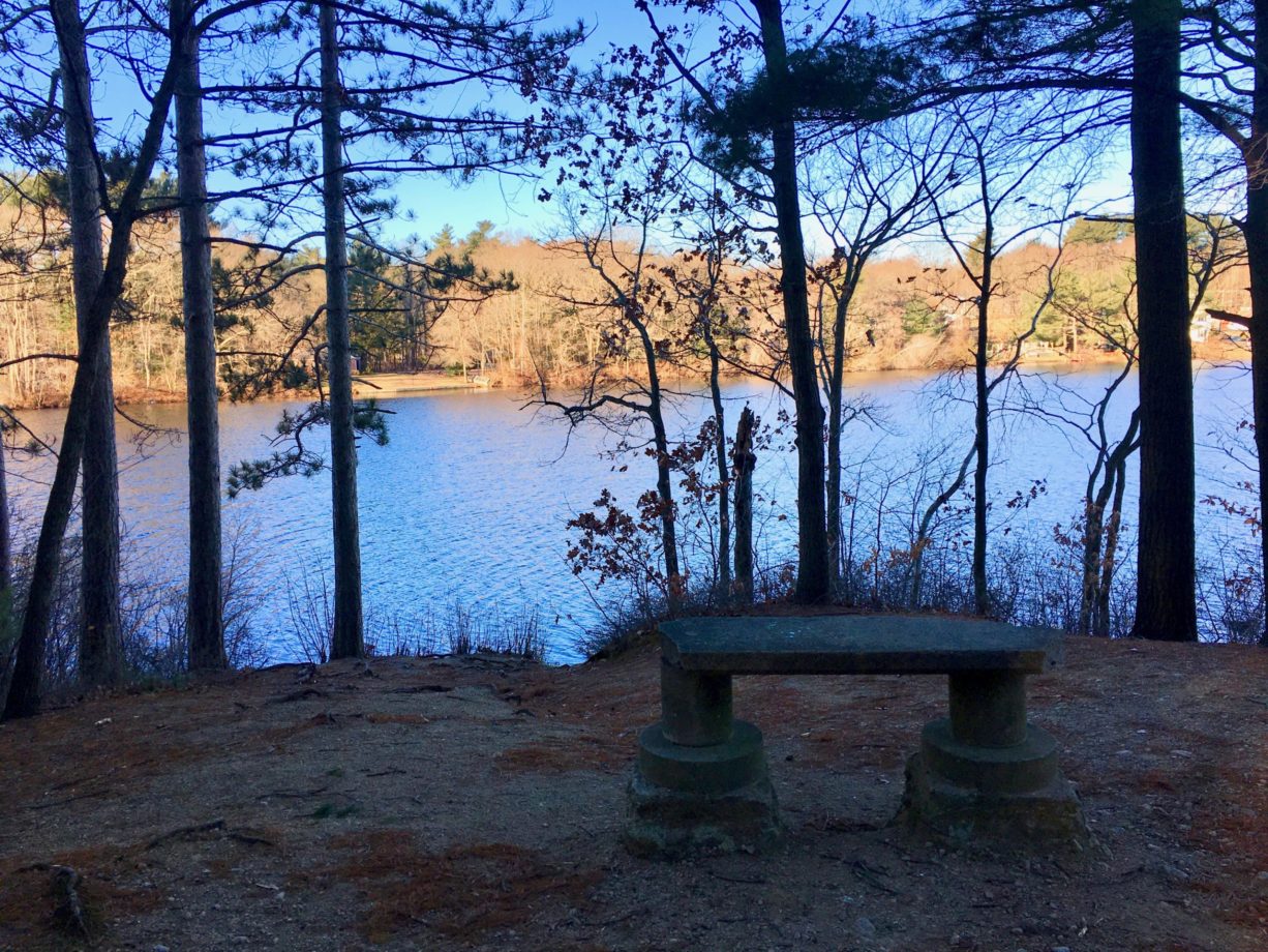 Island Grove Park North and South Rivers Watershed Association