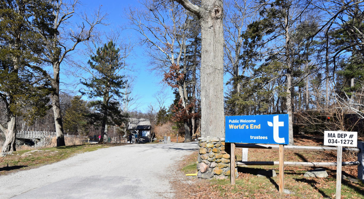 A photograph of an entrance road with property signs.