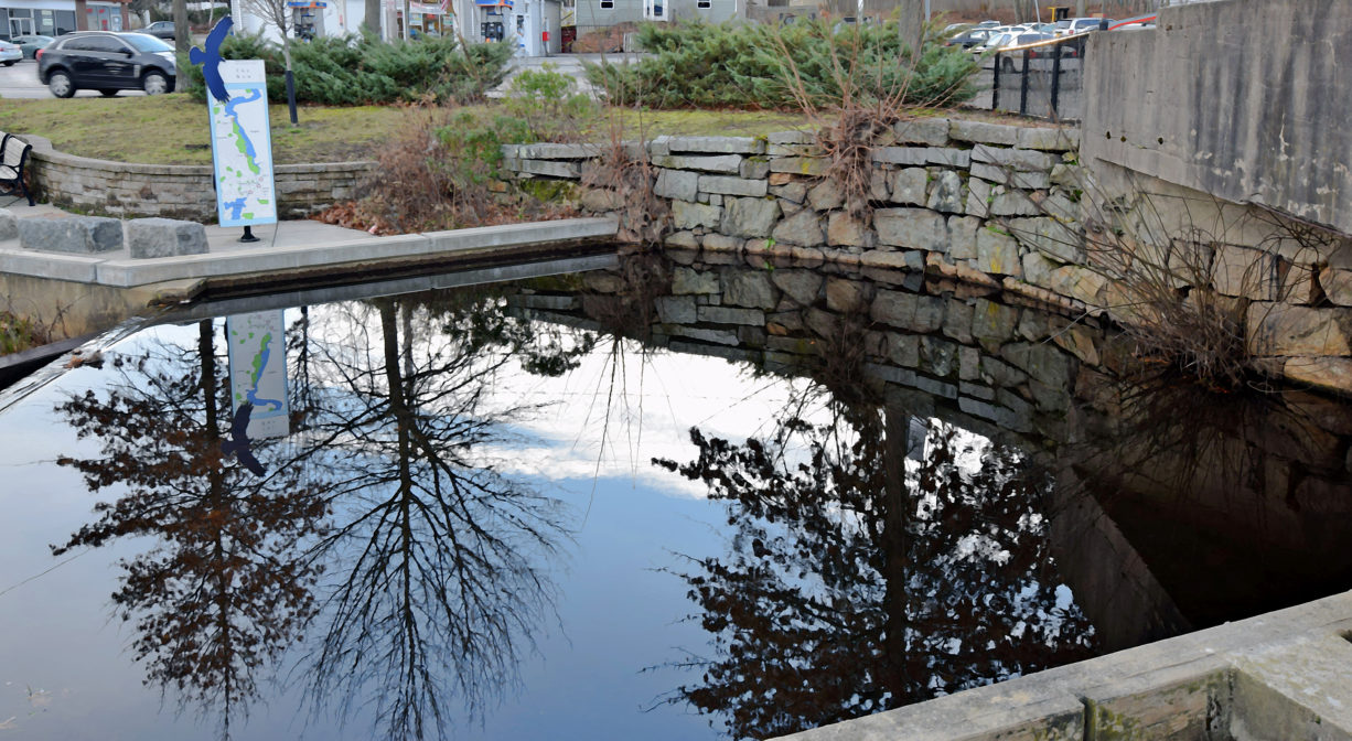 A photograph of a park with a concrete pool with trees reflected in the water surface