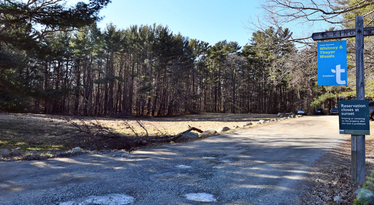 A photograph of an entrance road and property sign.