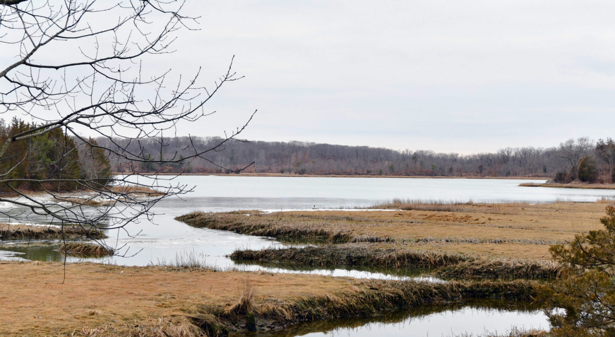 A photograph of a river and a marsh.