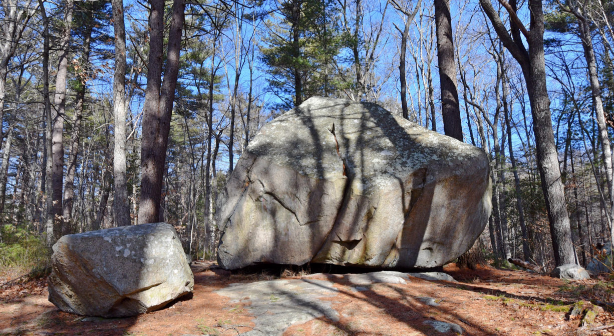 A photograph of some glacial erratic boulders in the woods.