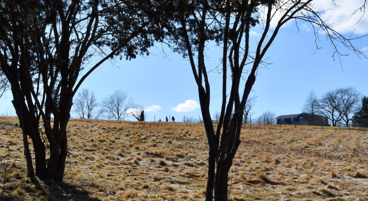 A photograph of a grassy field with trees.