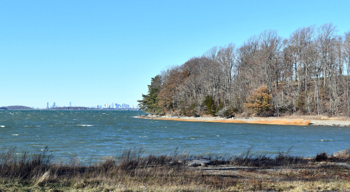 A photograph of a body of water with trees and marsh in the distance.