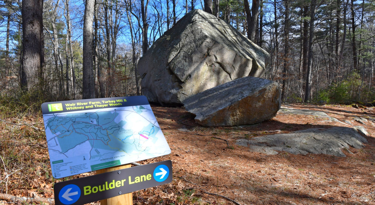 A photograph of a glacial erratic boulder in the woods, with an interpretive sign.