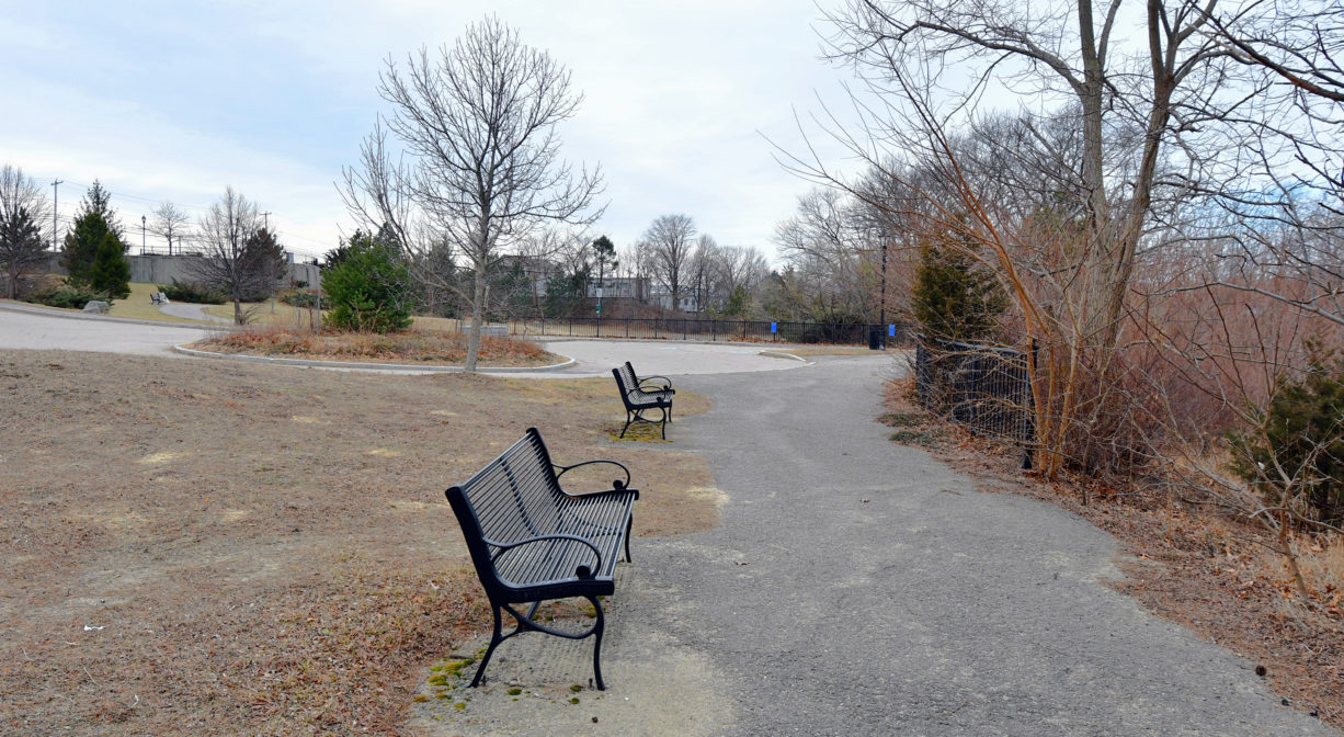 A photograph of a row of benches along a trail.