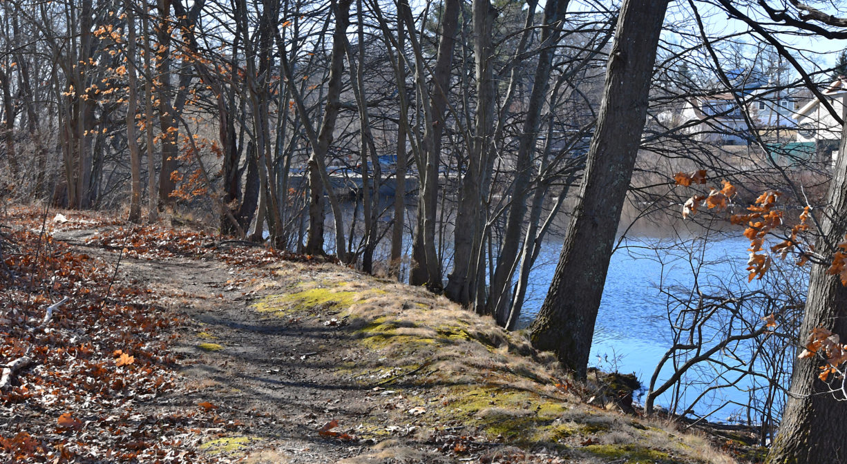 A photograph of a trail beside a pond.