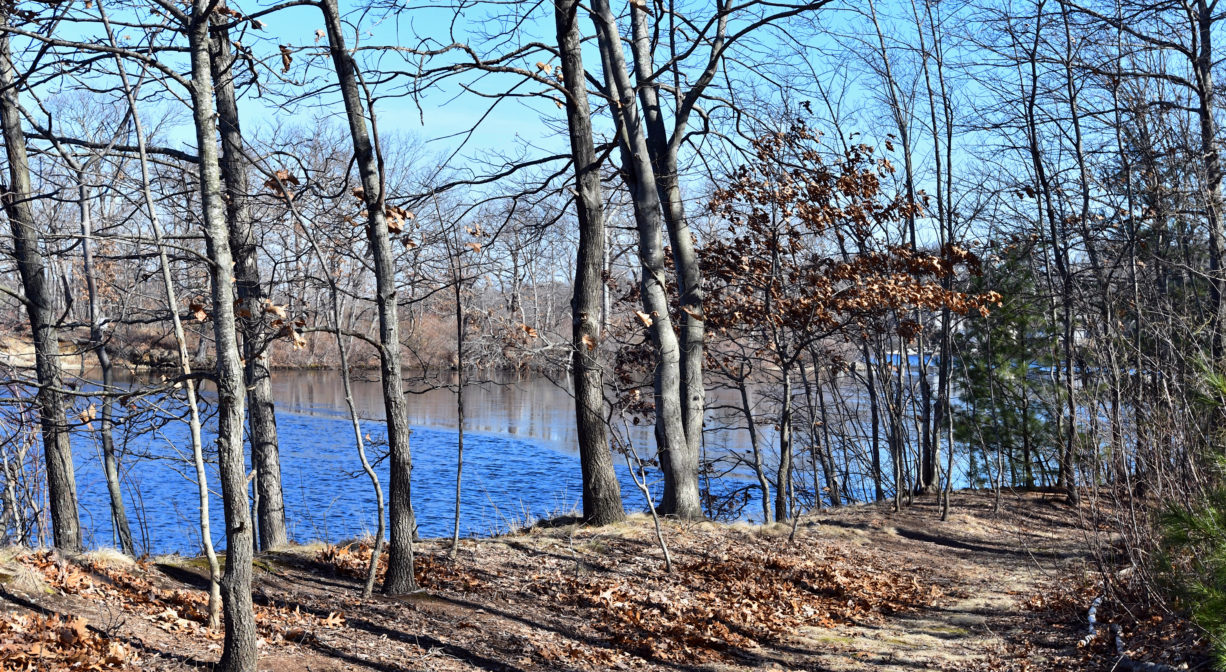 A photograph of a trail beside a pond.