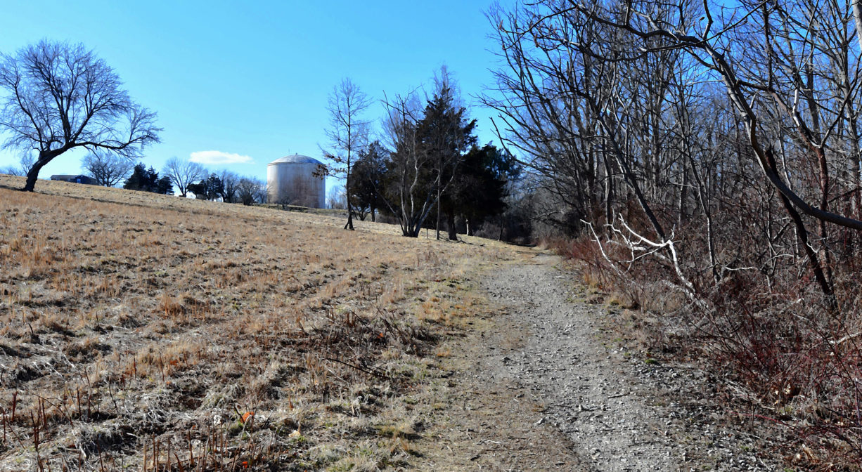 A photograph of a trail across a grassy area with trees to one side.