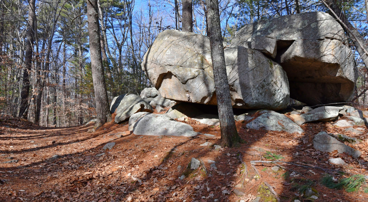 A photograph of a glacial erratic boulder in the woods.