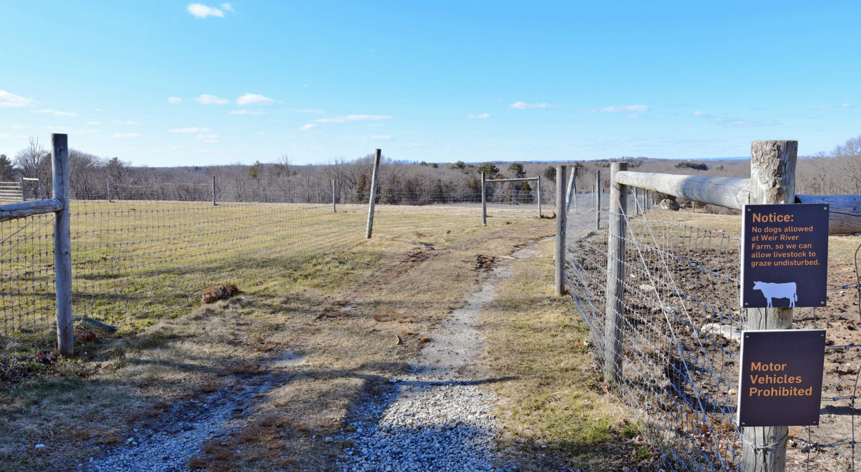 A photograph of a trail across a grassy area with some property signs.