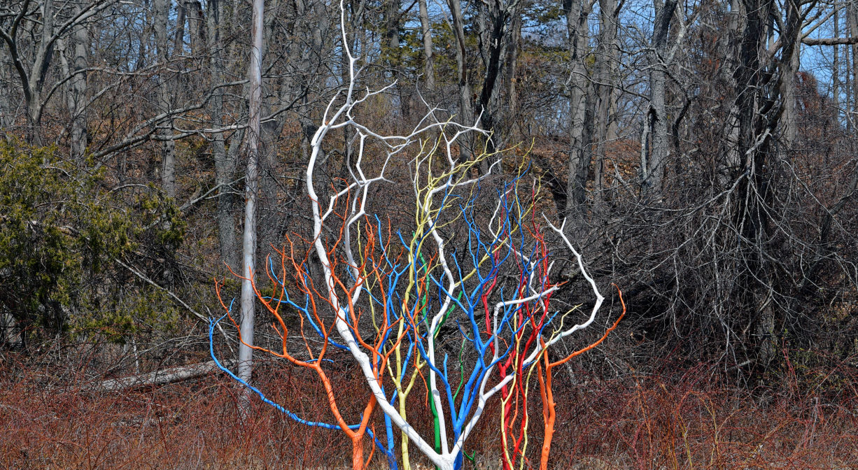 A photograph of a tree painted in different colors.