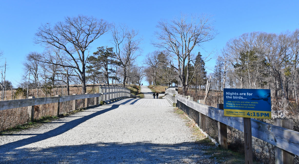 A photograph of an entrance road with a bridge.