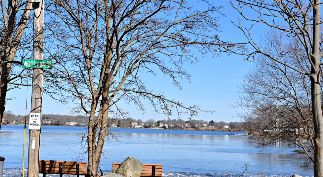 A photograph of two benches overlooking a pond.