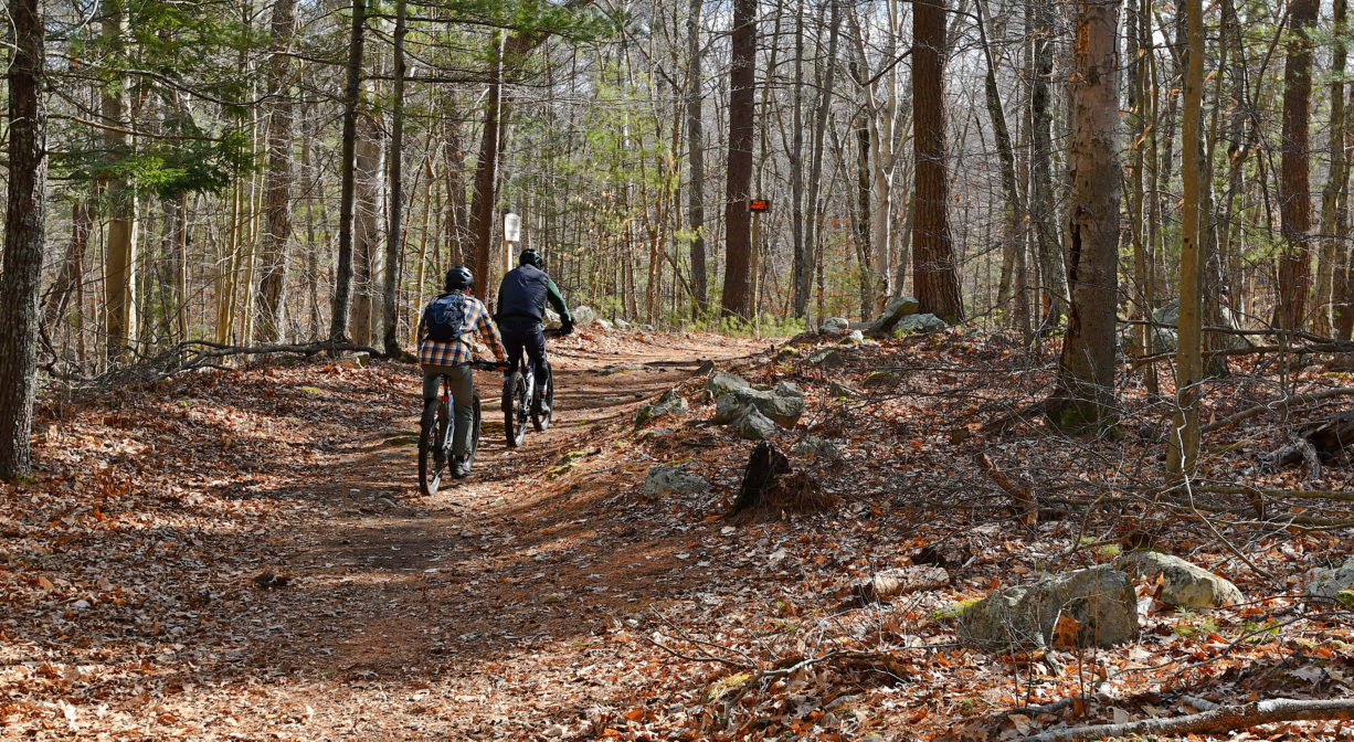 A photograph of two mountain bikers on a trail through the woods.