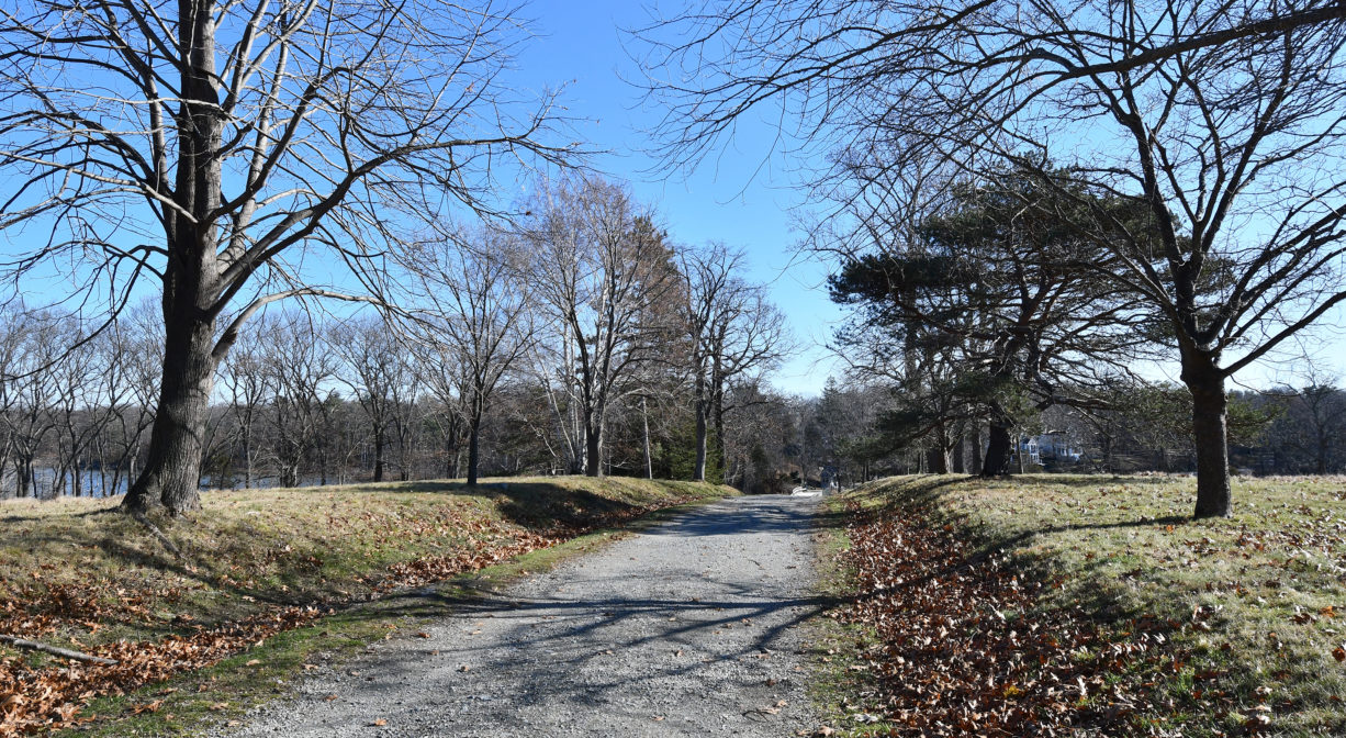 A photograph of a trail through a grassy area with scattered trees.