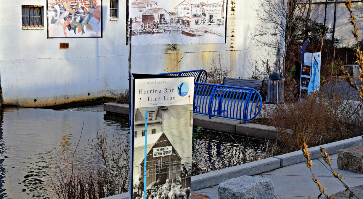 A photograph of interpretive signage within a city park.