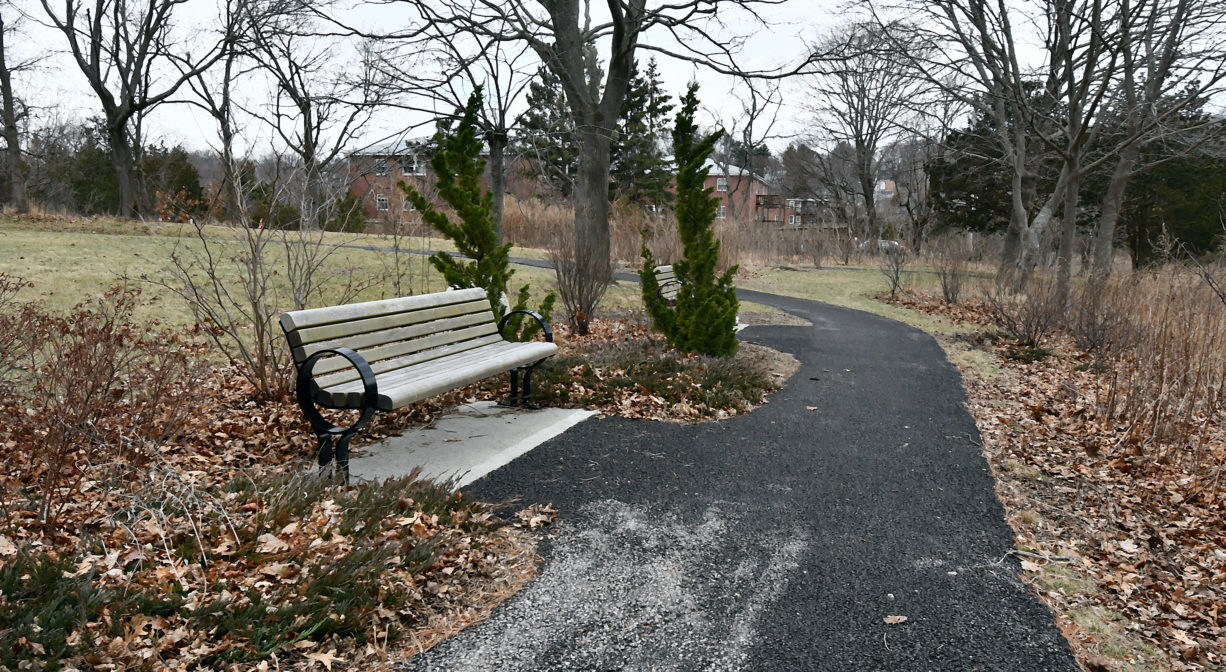 A photograph of a bench beside a paved trail.