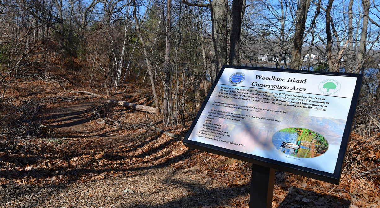 A photograph of man interpretive sign beside a pond.