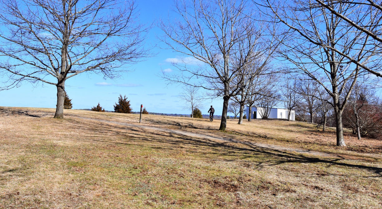 A photograph of a grassy hilltop with scattered trees.