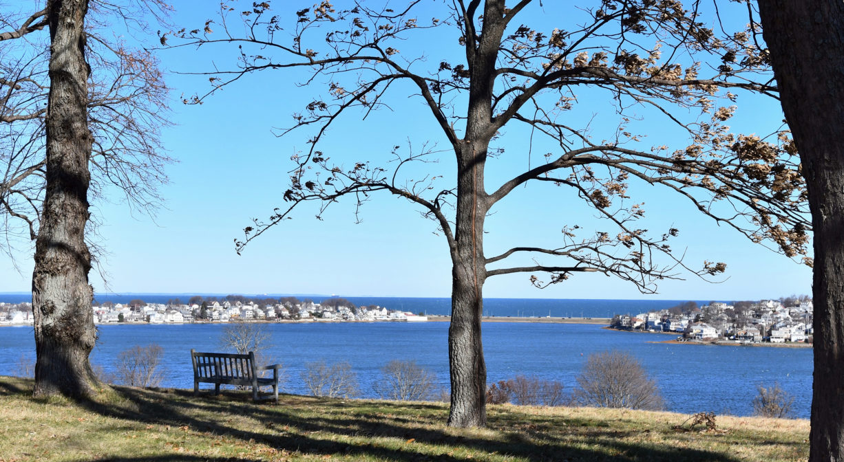 A photograph of a bench on the grass overlooking the water with scattered trees.