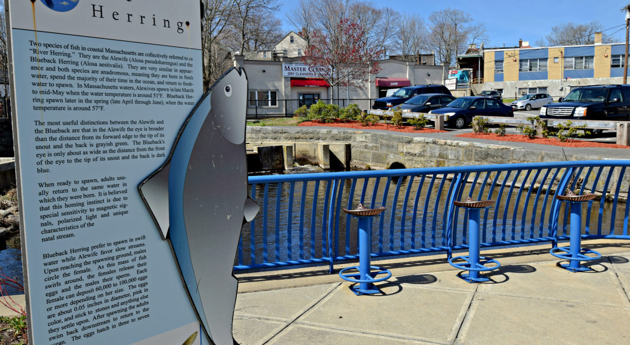 A photograph of interpretive signage within a city park.