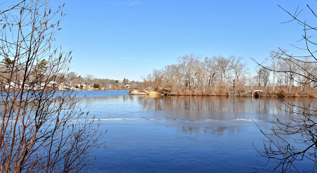 A photograph of a pond with trees in the distance.