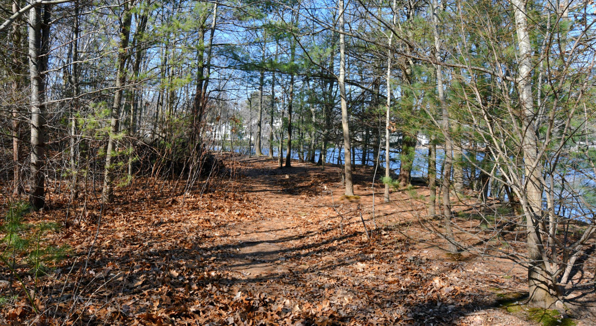 A photograph of a woodland trail beside a pond.