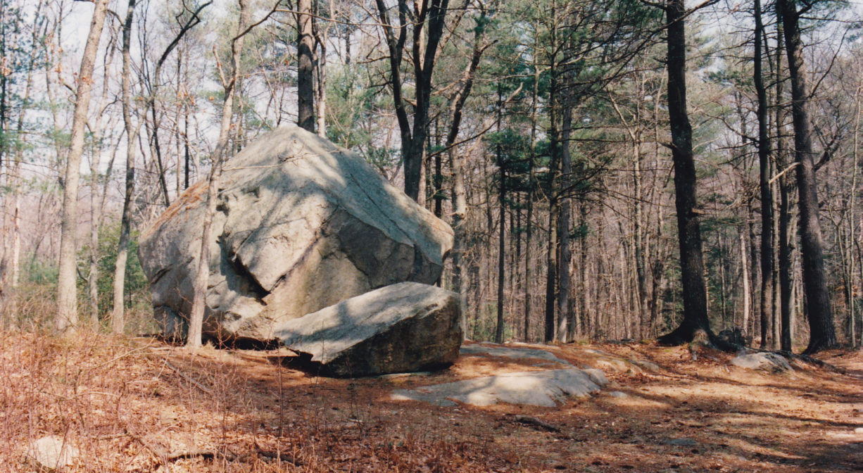 A photograph of a glacial erratic boulder in the woods.
