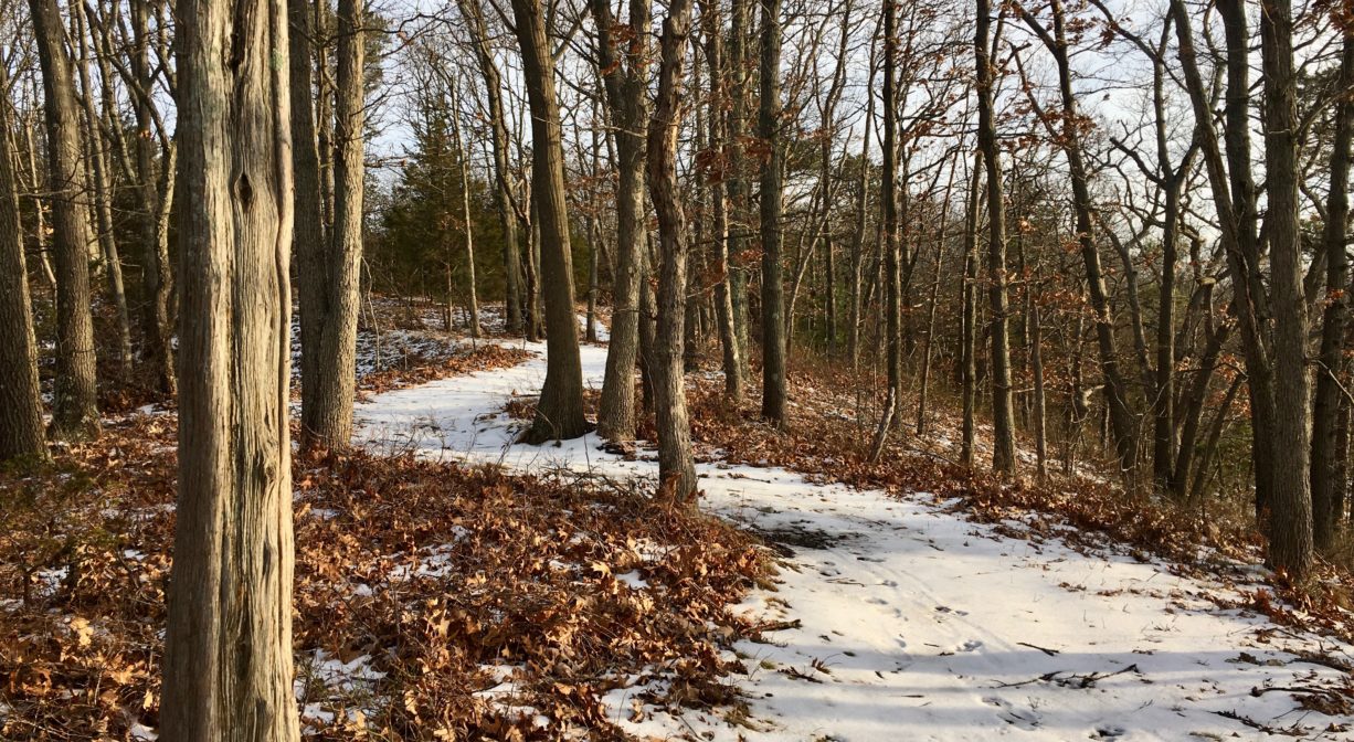 A photograph of a snowy woodland trail.