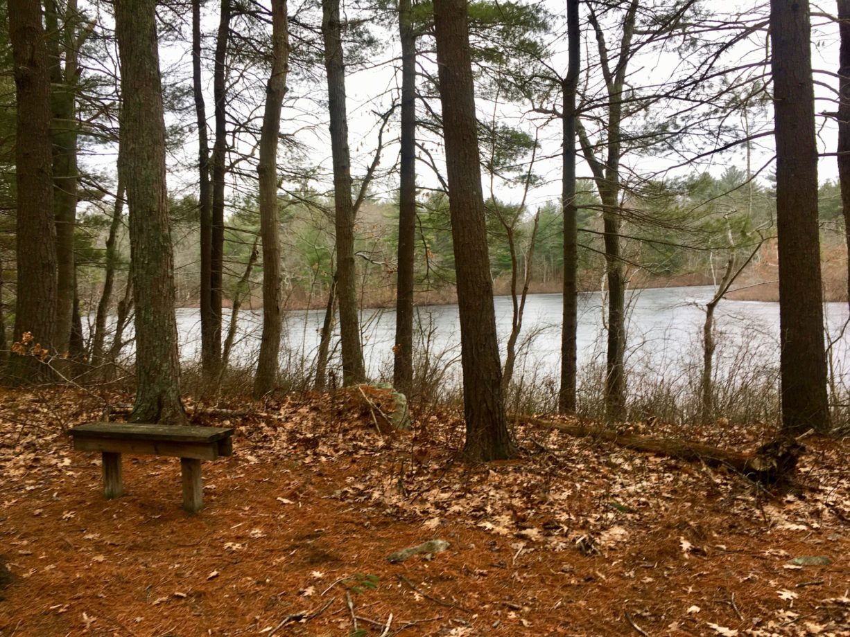 Triphammer Pond Conservation Area North and South Rivers Watershed Association