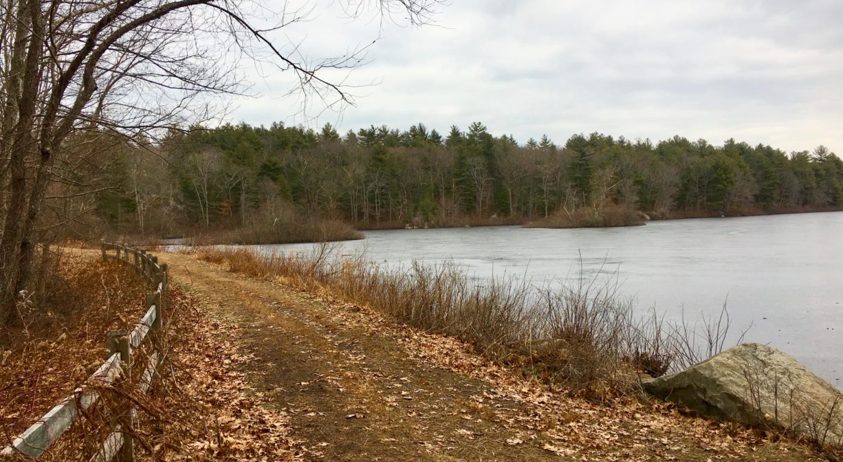 A photograph of a wide trail beside a pond with trees to one side.