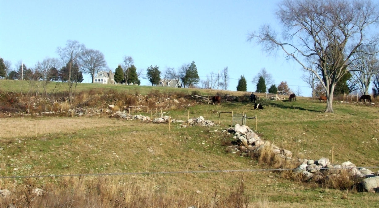 A photograph of a stone all across a grassy field, with cows.