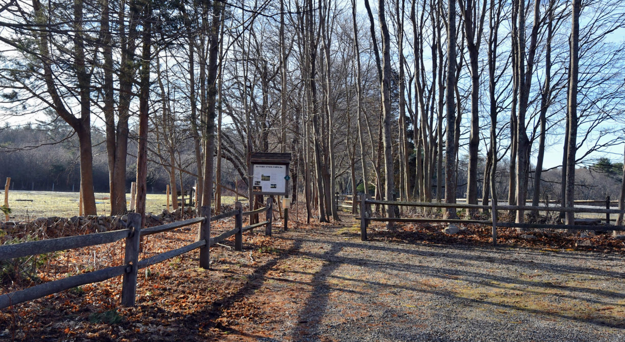 A photograph of a parking area beside an agricultural land.
