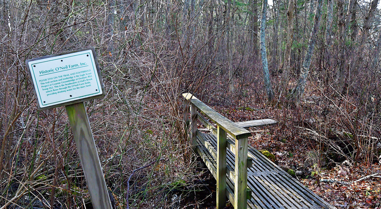 A photograph of an interpretive sign beside a stream and a small footbridge.