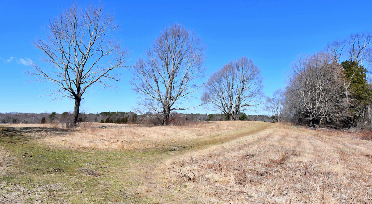 A photograph of an open field with a few trees in the distance.