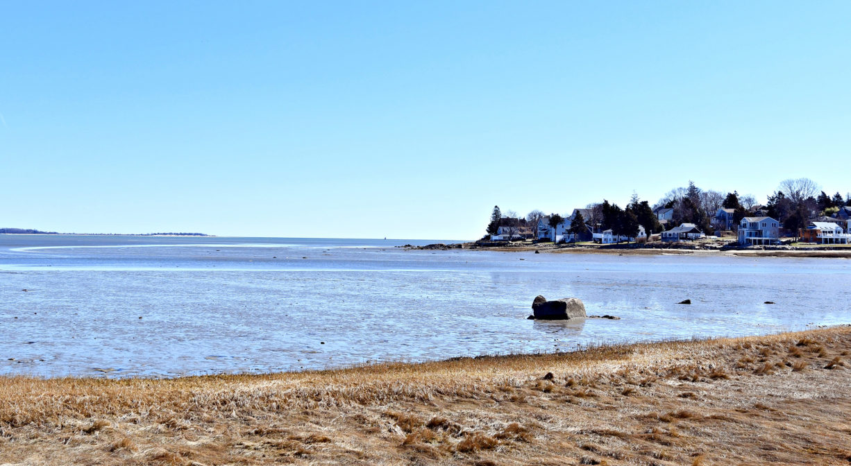 A photograph of salt marsh and a bay.