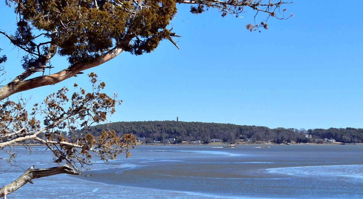 A photograph of a bay at low tide, with trees to one side.