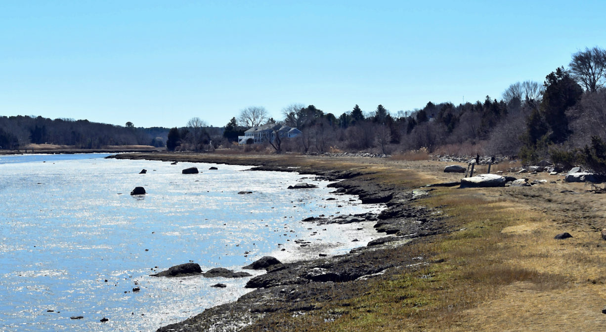A photograph of a shoreline with salt marsh and trees.