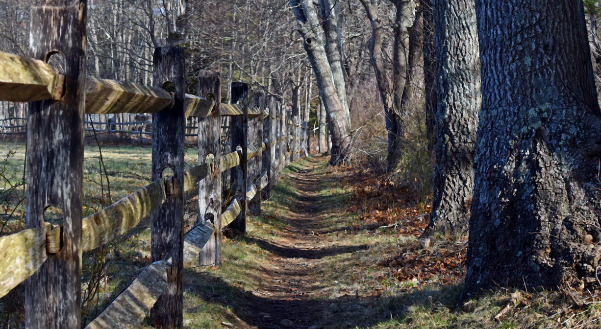 A photograph of a trail beside a fenced-in pasture.