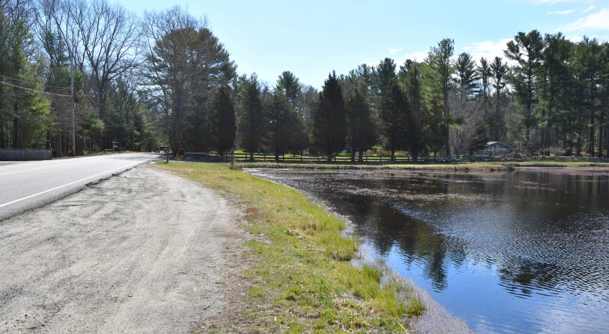 A photograph of a roadside parking area beside a cranberry bog.