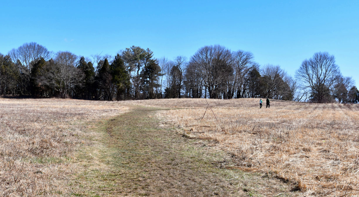 A photograph of a trail across an open field with pedestrians and trees in the distance.