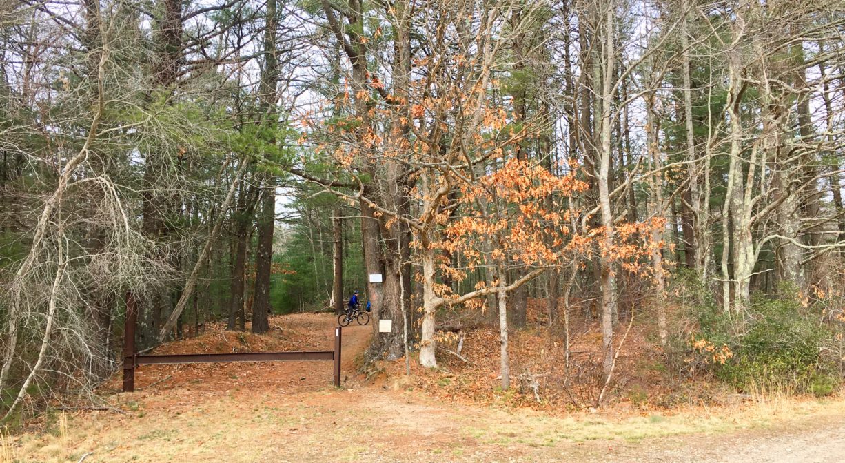 A photograph of a trail with a gate in a forest.