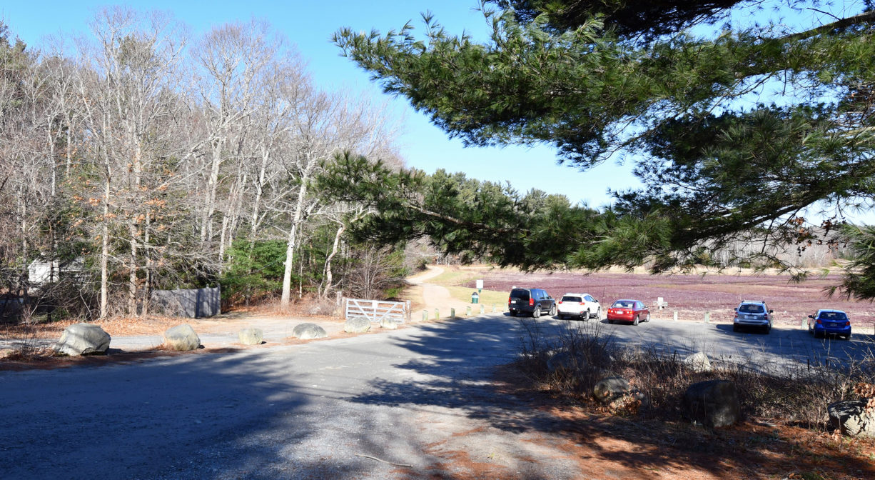 A photograph of a parking area with a cranberry bog in the background.