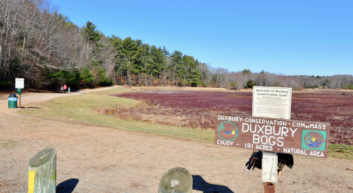 A photograph of a cranberry bog with a trail and property signs.