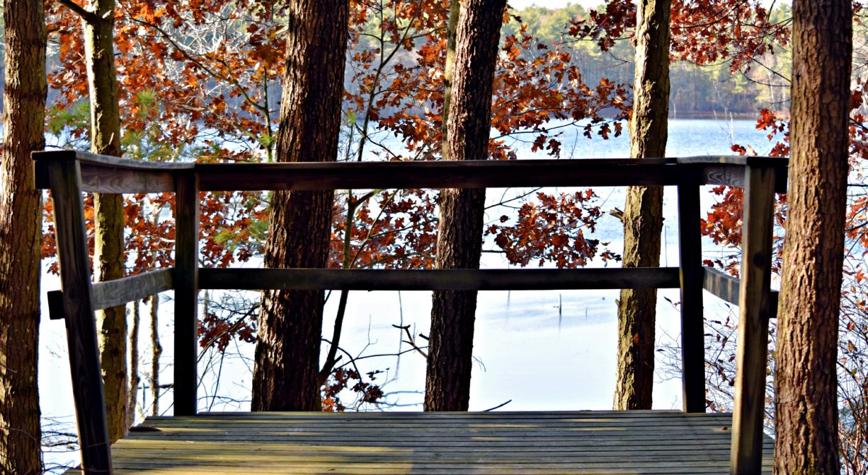A close-up photograph of an observation deck on a pond with fall foliage.