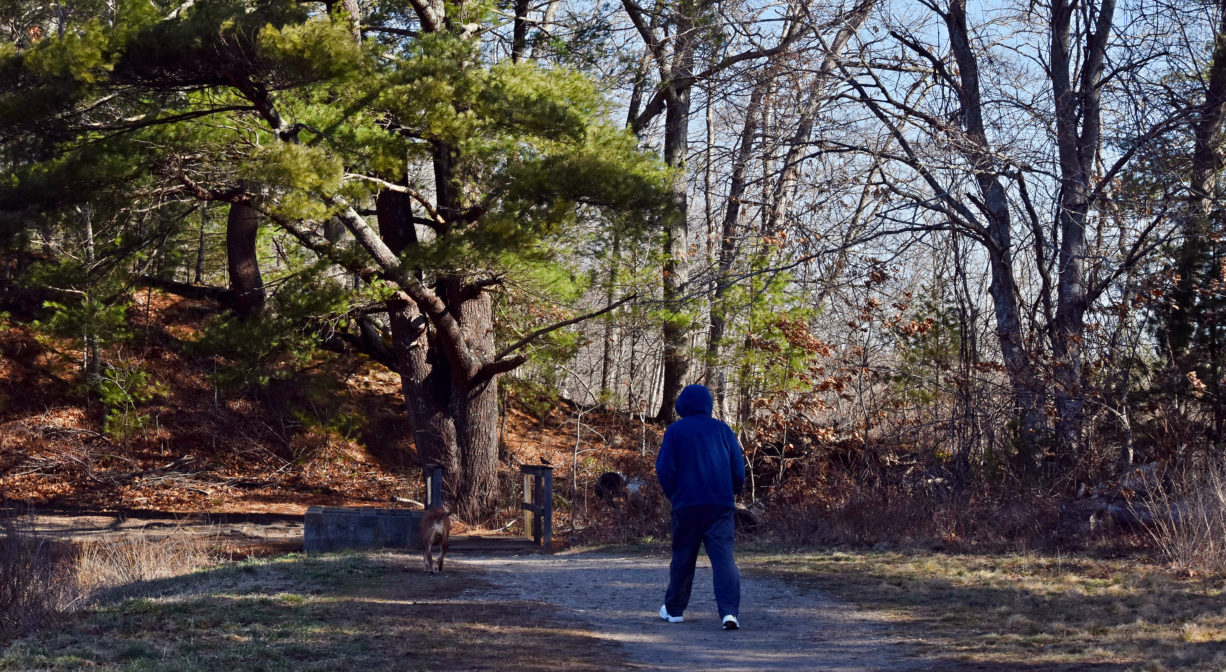 A photograph of an individual walking along a trail with trees to one side.