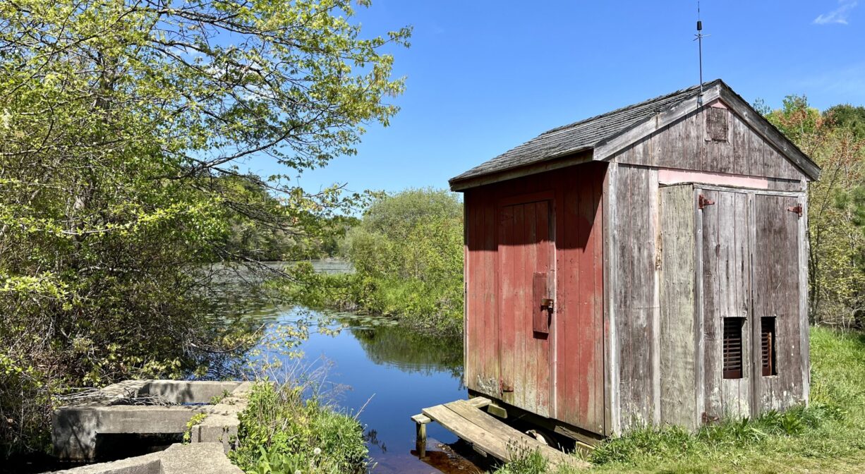 A photograph of a red shed beside a pond.