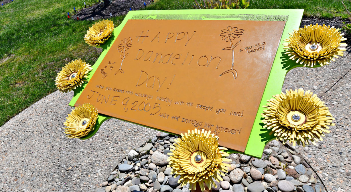 A photograph of a colorful sign within a park, decorated with yellow flowers.